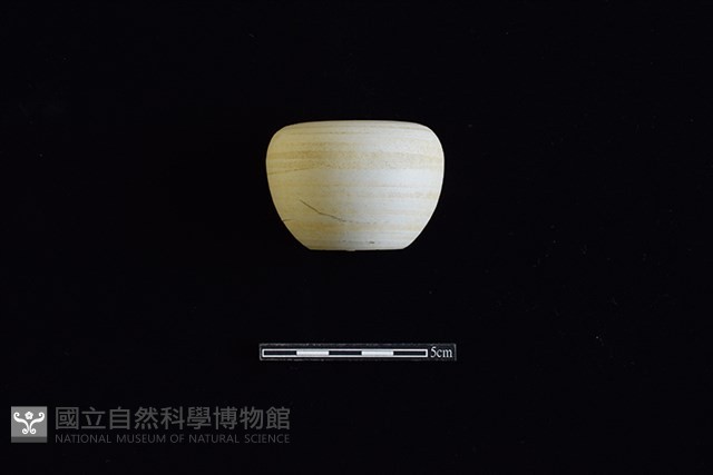 缽藏品圖，第1張