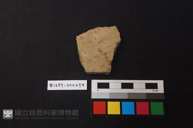 陶片藏品圖，第1張