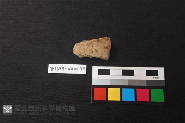陶片藏品圖，第1張