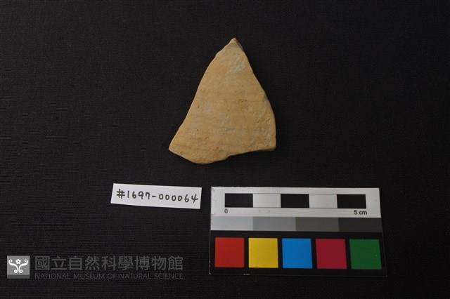 陶片藏品圖，第1張