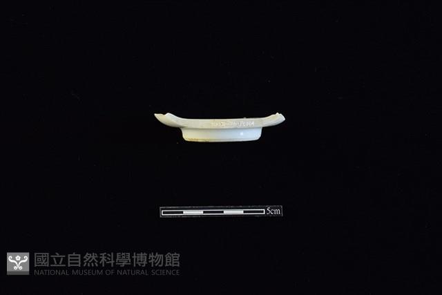 杯藏品圖，第1張