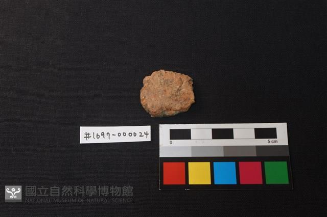 陶片藏品圖，第1張