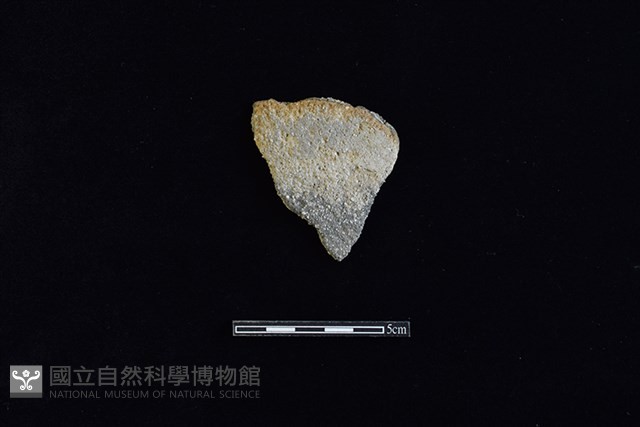 陶片藏品圖，第1張