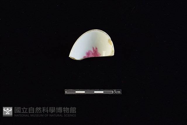 湯匙藏品圖，第4張