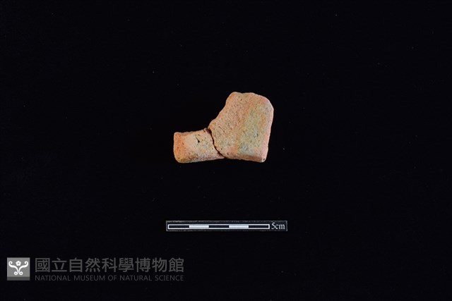 陶罐藏品圖，第4張