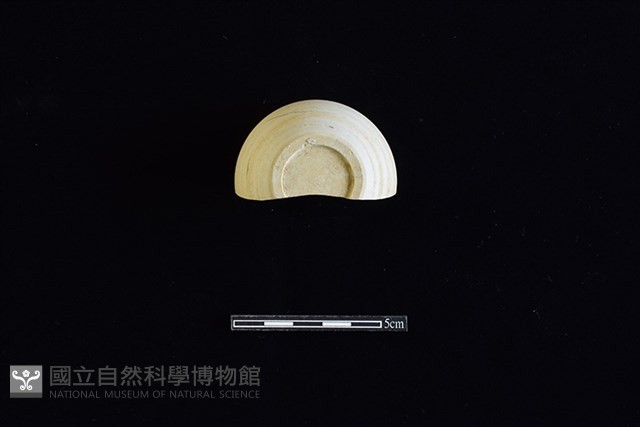 缽藏品圖，第4張