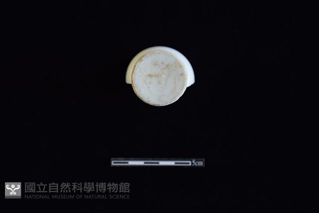 杯藏品圖，第4張