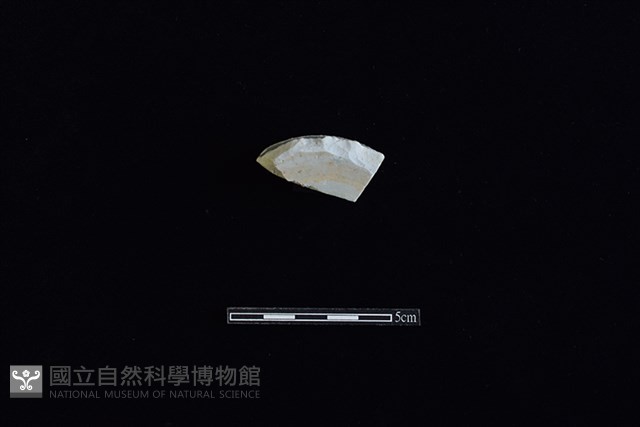 碗藏品圖，第3張