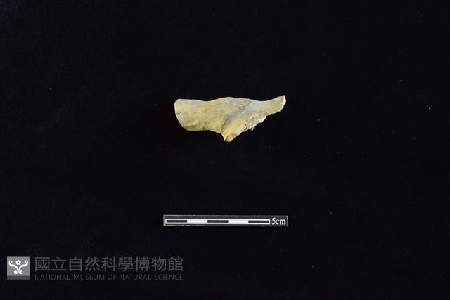 壺藏品圖，第3張