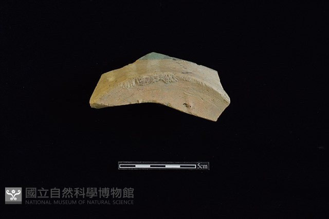 硬陶片藏品圖，第3張