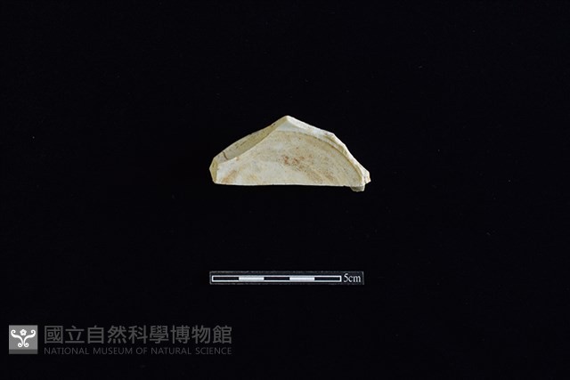 碗藏品圖，第3張