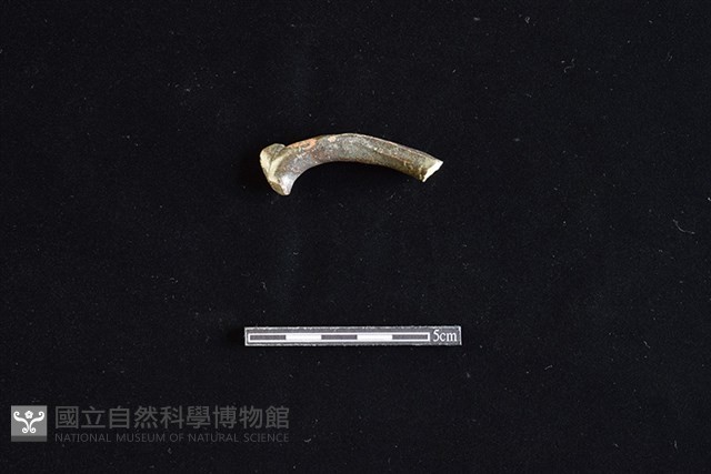 湯匙藏品圖，第3張