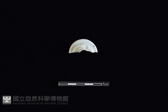 礙子藏品圖，第3張