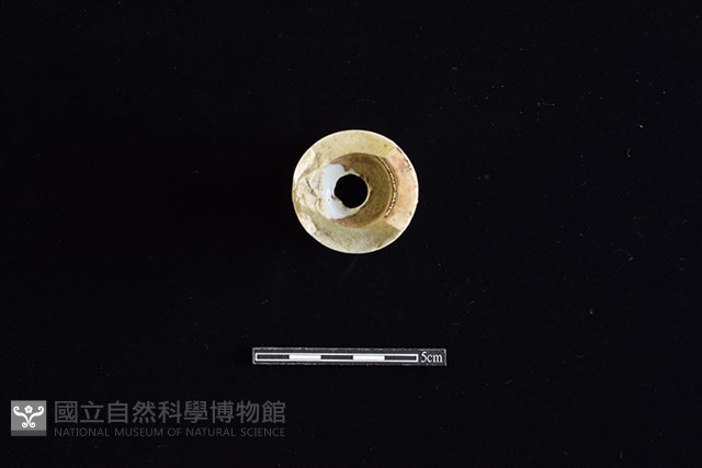 礙子藏品圖，第3張