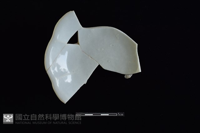 盤藏品圖，第3張