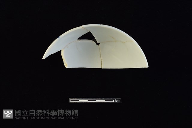 碗藏品圖，第3張