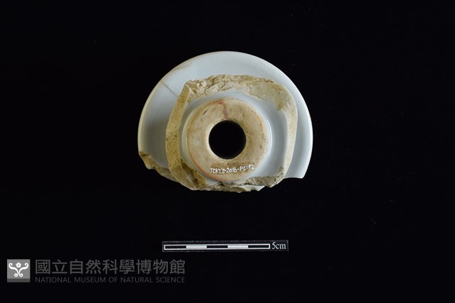 礙子藏品圖，第3張