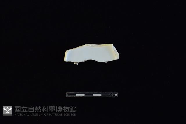 杯藏品圖，第3張