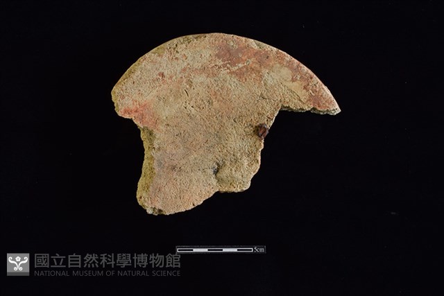 硬陶片藏品圖，第3張