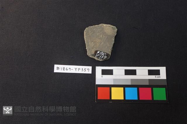 陶片藏品圖，第2張
