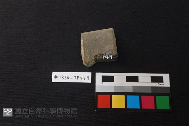 陶片藏品圖，第2張