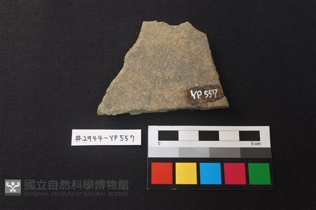 陶片藏品圖，第2張
