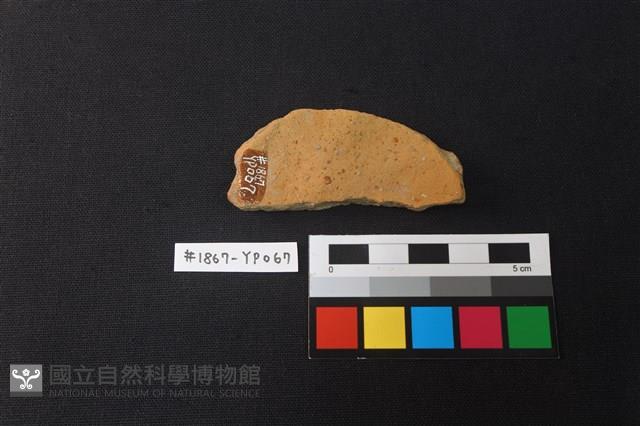 陶片藏品圖，第2張