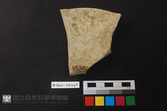 陶片藏品圖，第2張