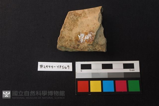 陶片藏品圖，第2張