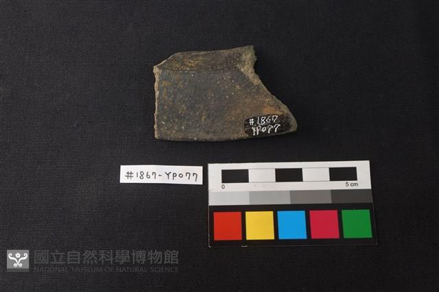 陶片藏品圖，第2張