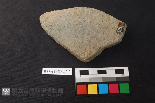 陶片藏品圖，第2張