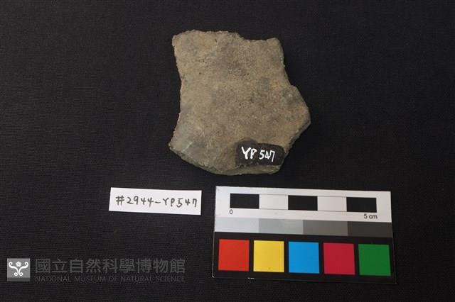 陶片藏品圖，第2張