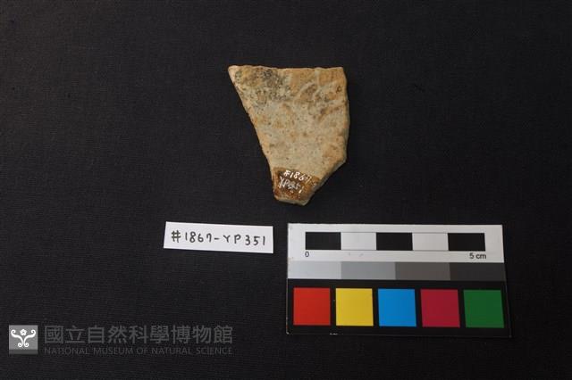 陶片藏品圖，第2張