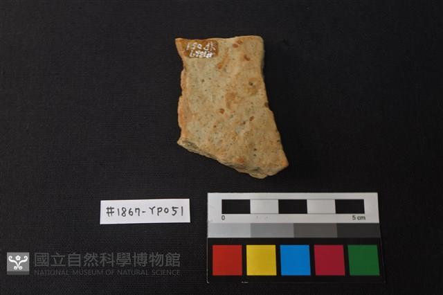 陶片藏品圖，第2張