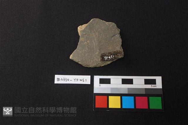 陶片藏品圖，第2張