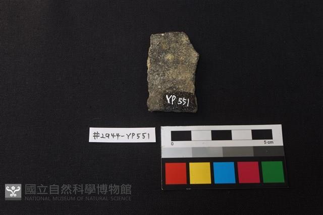 陶片藏品圖，第2張