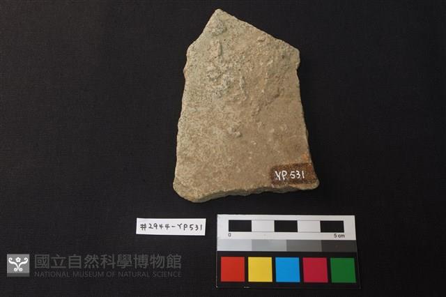 陶片藏品圖，第2張