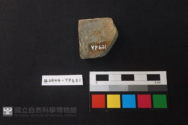 Accession Number:YP631 Collection Image, Figure 2, Total 2 Figures