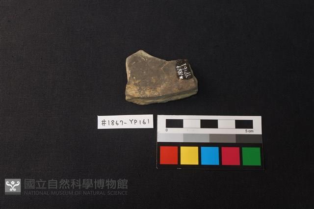 陶片藏品圖，第2張