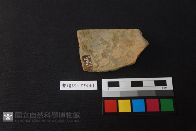 陶片藏品圖，第2張