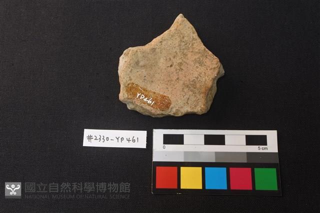 陶片藏品圖，第2張