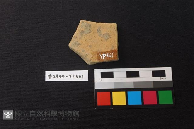 陶片藏品圖，第2張