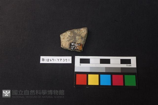 陶片藏品圖，第2張