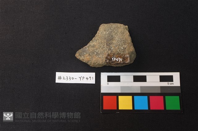 陶片藏品圖，第2張