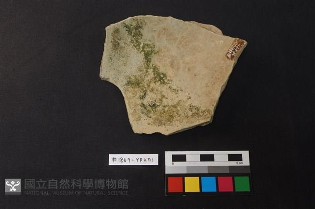 陶片藏品圖，第2張