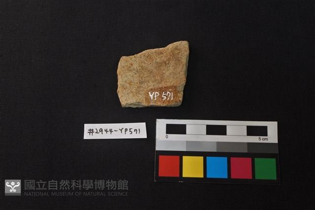 陶片藏品圖，第2張