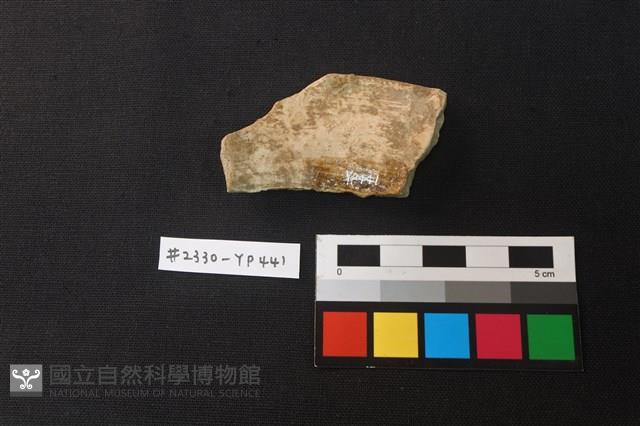 陶片藏品圖，第2張