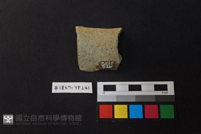 陶片藏品圖，第2張