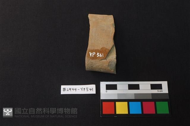 陶片藏品圖，第2張