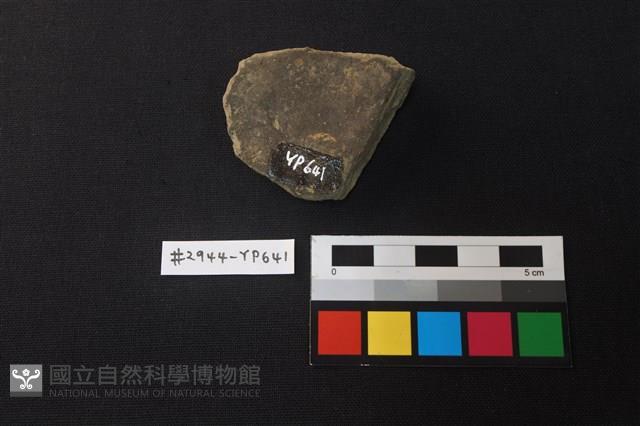 陶片藏品圖，第2張